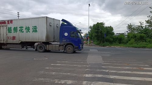 中老铁路货运翻新篇 特快专列与冷链新举措助力区域经济腾飞